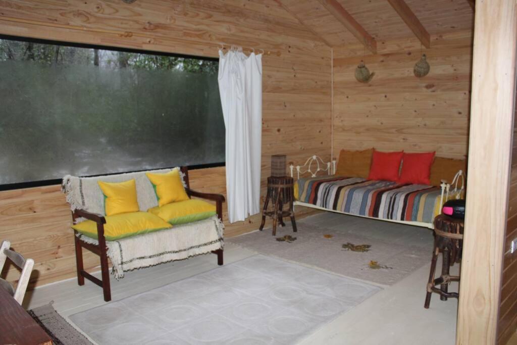Cabana Bosque Viejo Villa Las Trancas Exterior photo